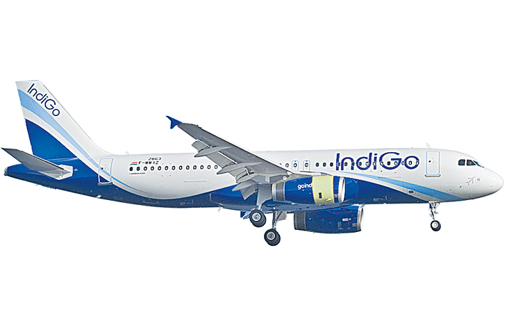 indigo.jpg