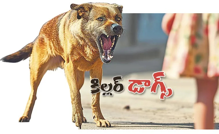 street-dog.jpg