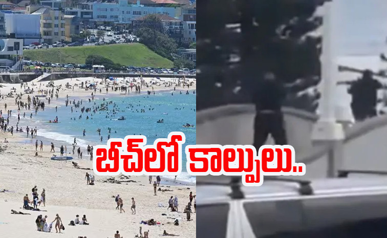 beach.jpg