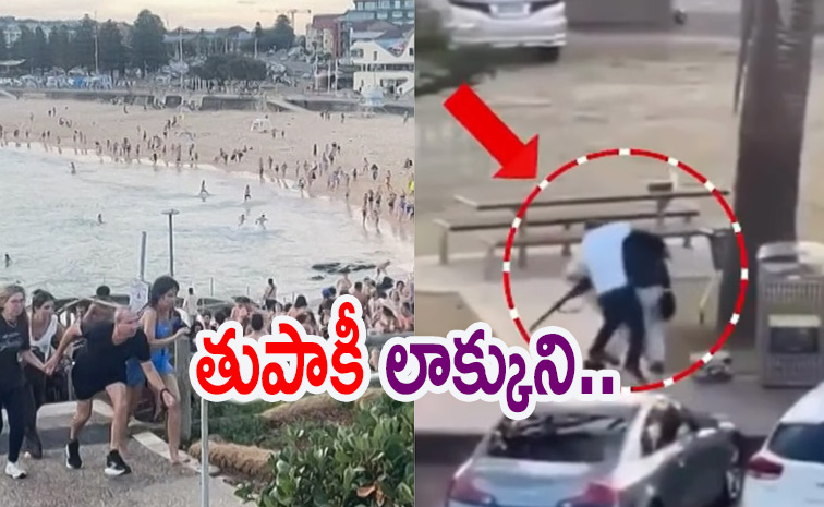 beachattack.jpg