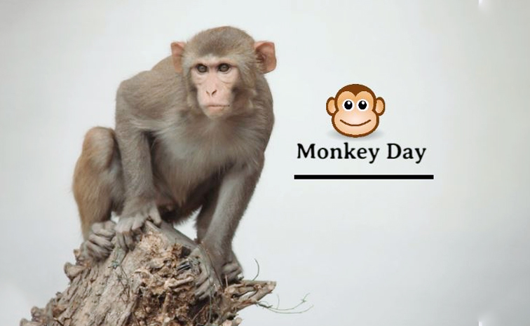 monkey_20day.jpg
