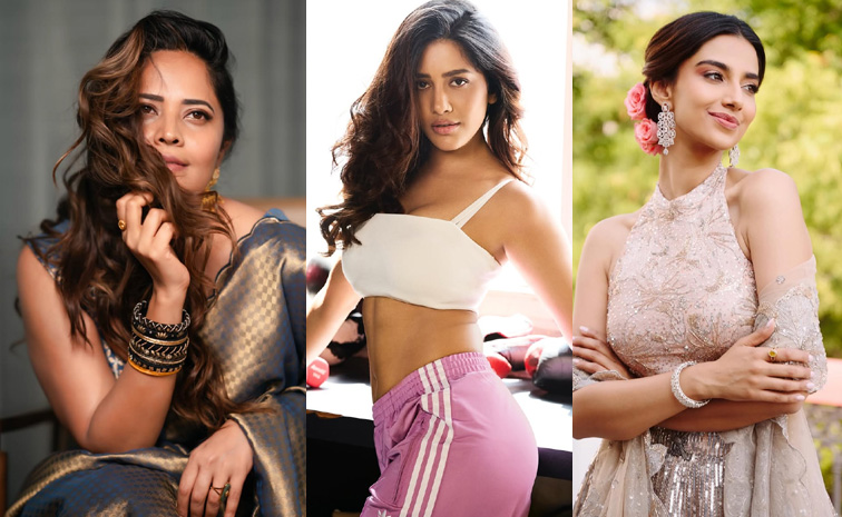 anasuya-meenakshi-chaudary.jpg