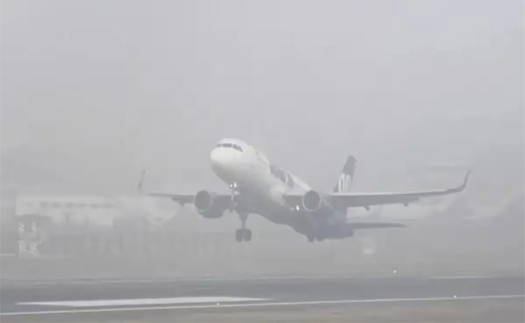 flight.jpg