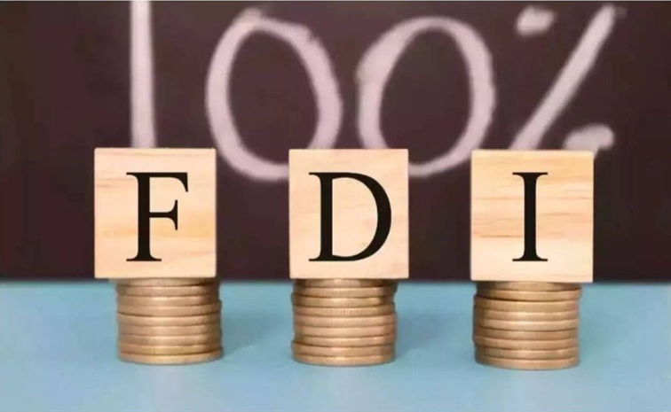 fdi01.jpg