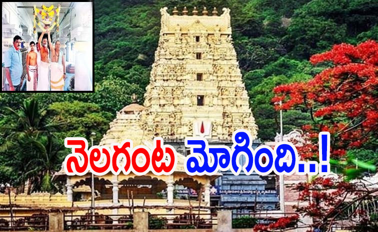 tirumala_0.jpg