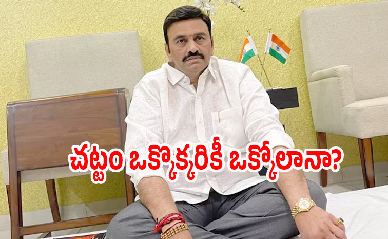Raghuramakrishnamraju.jpg