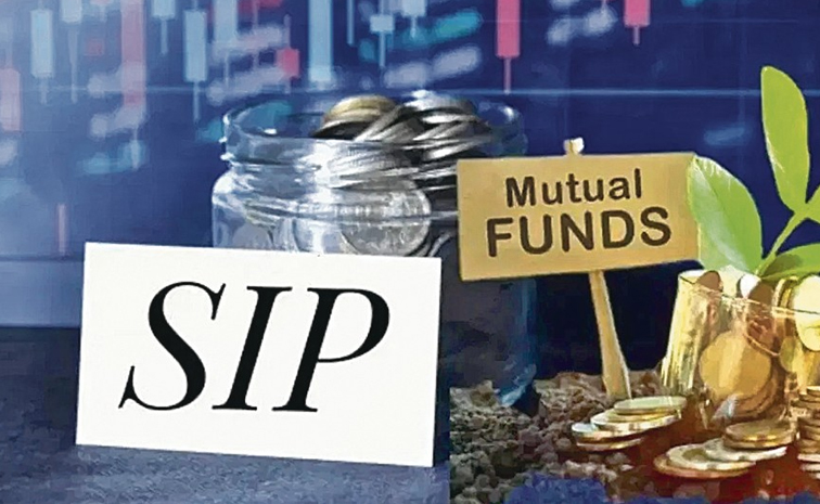 sip.jpg