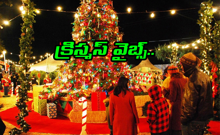 Celebrate-Christmas.jpg
