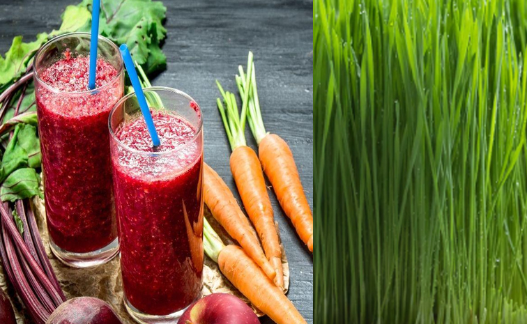 immunityfood.jpg