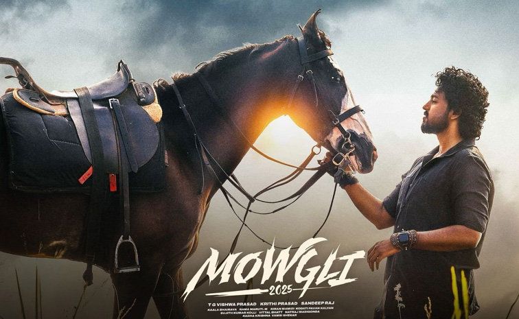 mowgli-movie-collection.jpg