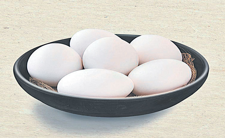 EGG.jpg