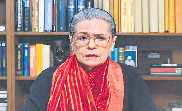 sonia11.jpg