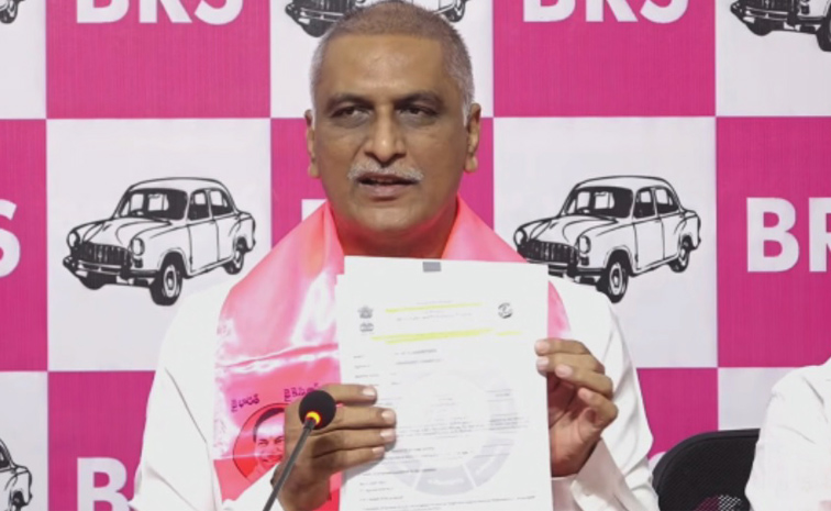 Harish-Rao.jpg