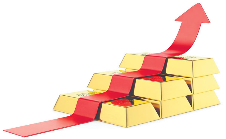 GOLD-JUMPS.jpg