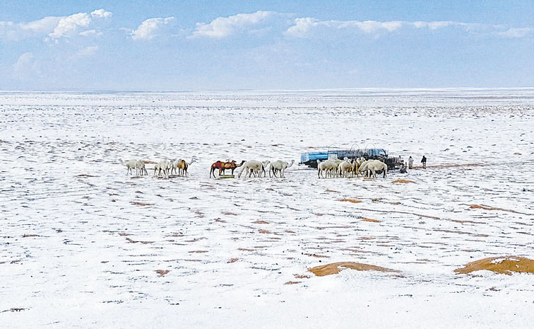 SAUDI-SNOWFALL-1.jpg