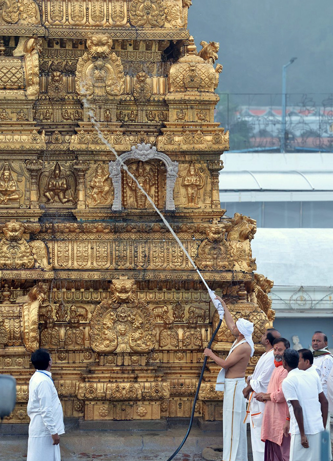 Tirumala1.jpg 2