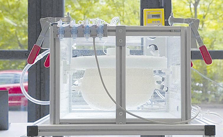 ARTIFICIAL-WOMB.jpg