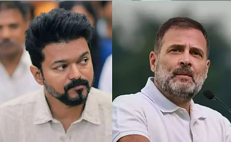 vijay.jpg