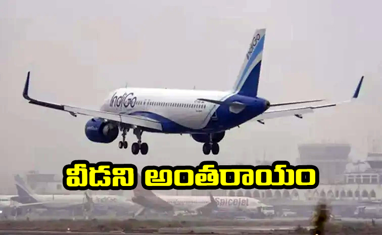 indigo.jpg