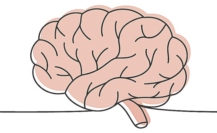 BRAIN.jpg