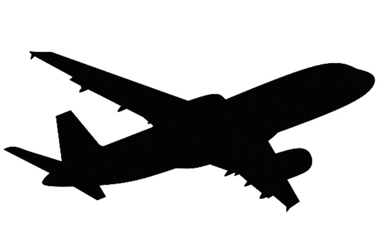 flight.jpg