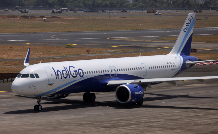 indigo.jpg