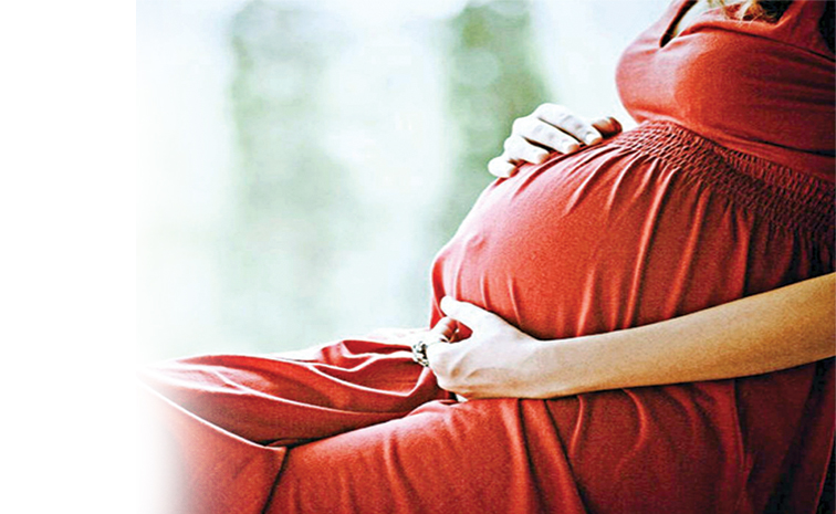 pregnet.jpg