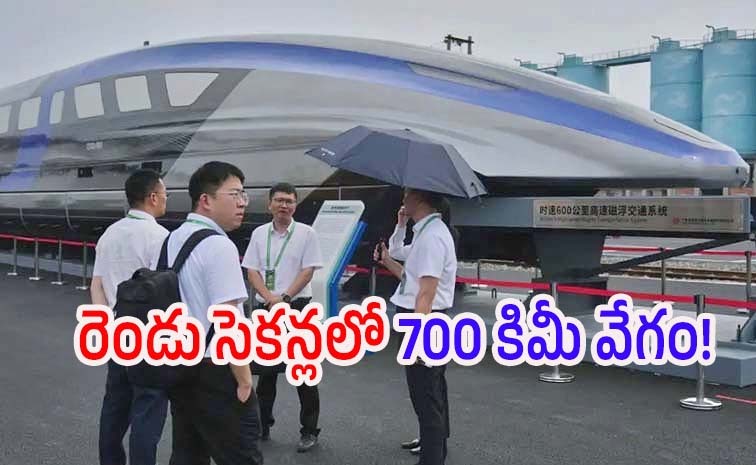 train_0.jpg