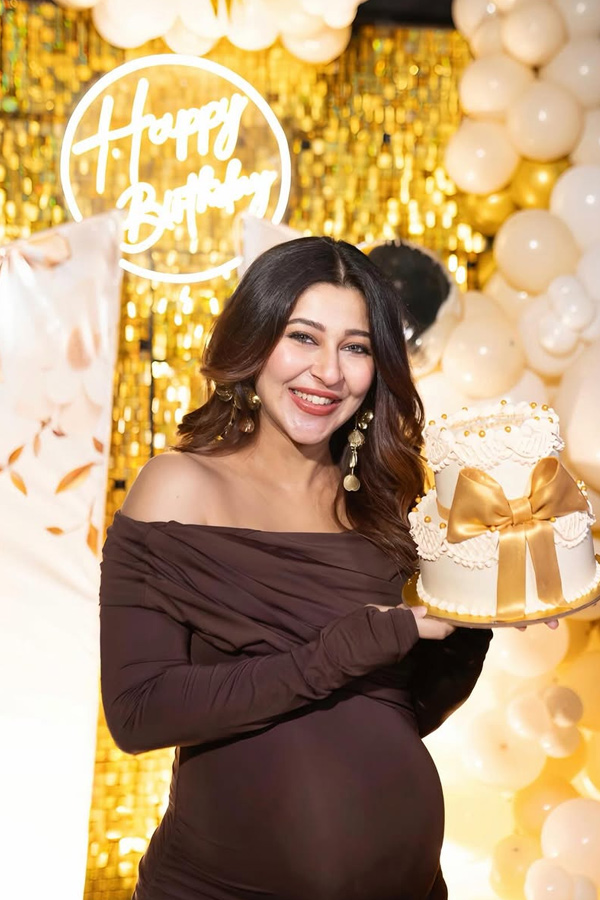 Sonarika_20Bhadoria_20celebrating_20Birthday_20with_20baby_20Bump_20Photos_20_2815_29.jpg 16