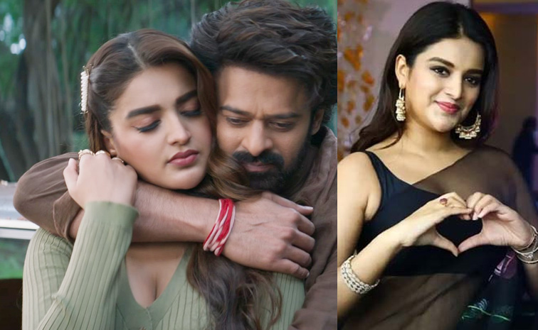 nidhi-agerwal.jpg