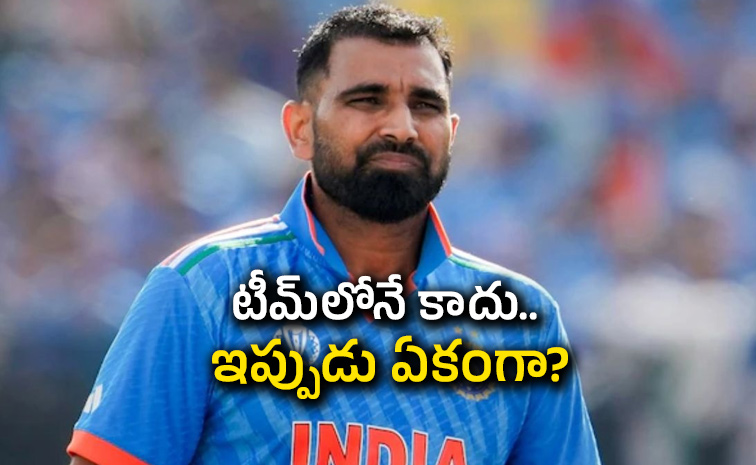 Mohammed-Shami.jpg