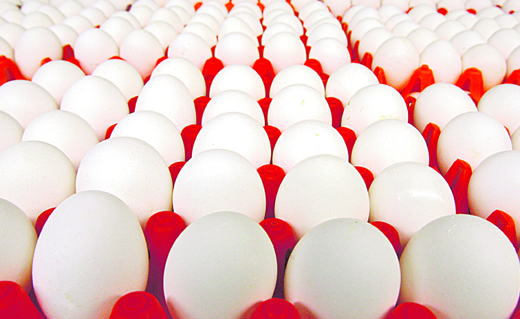 eggs.jpg