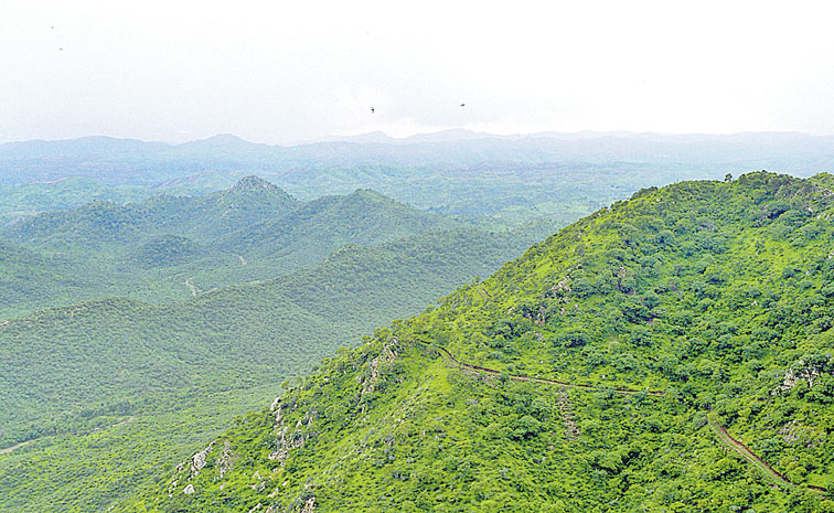ARAVALLI.jpg