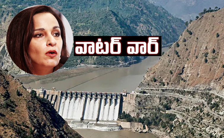 Sherry-Rehman.jpg
