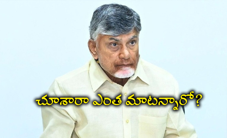 Chandrababu_3.jpg