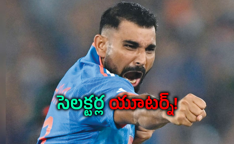 Shami.jpg