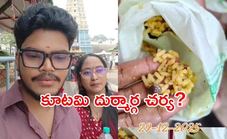 Snail-In-Simhachalam.jpg