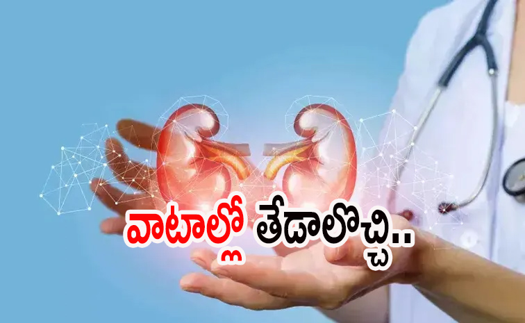 kidney.jpg