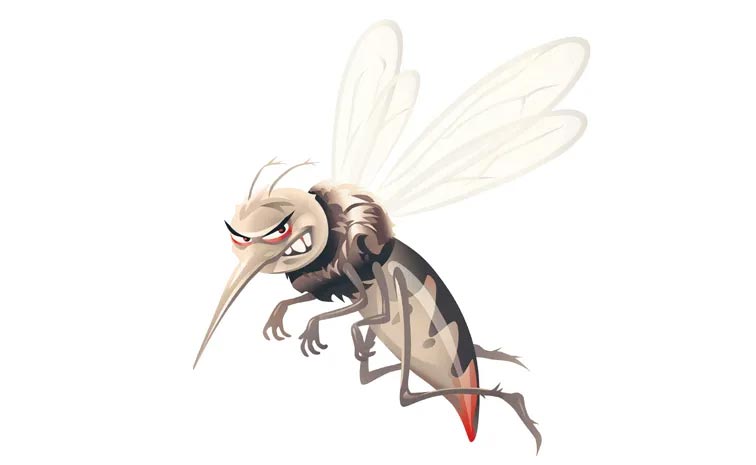Dengue-deaths.jpg