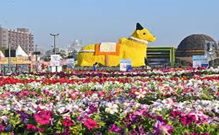 flower.jpg