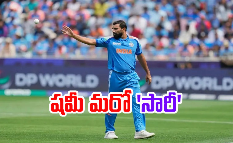shami_0.jpg