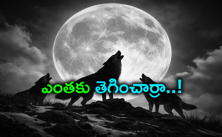 Full-moon.jpg