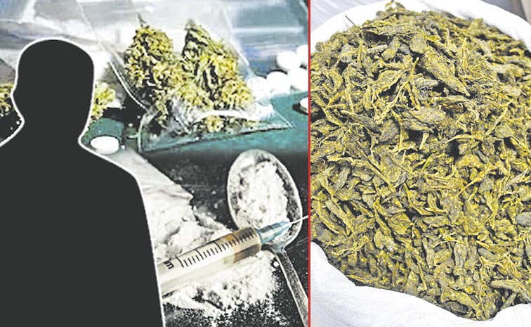GANJA.jpg