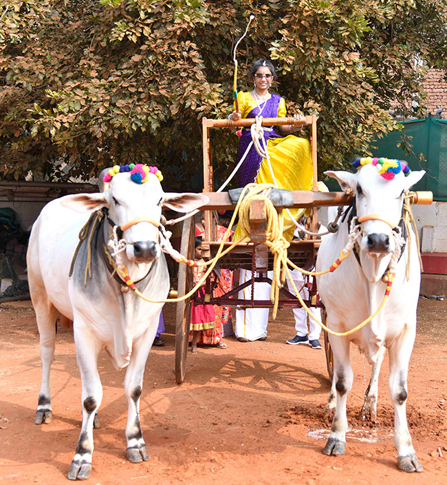 Sankranthi_20Sambaralu_202026_20At_20Vijayawada__20_2812_29.jpg 12