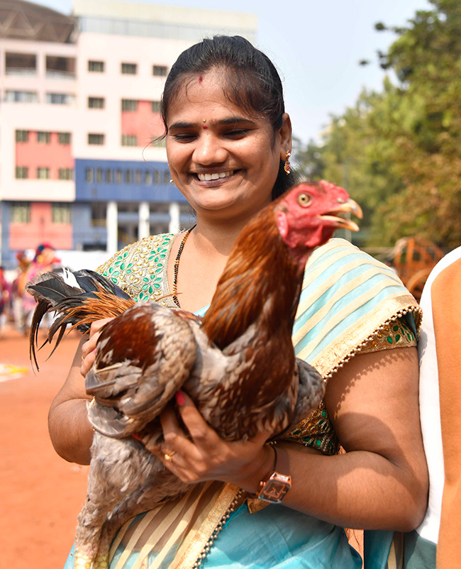 Sankranthi_20Sambaralu_202026_20At_20Vijayawada__20_2818_29.jpg 18