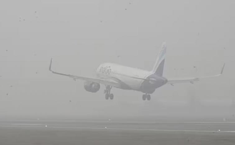 Flight.jpg