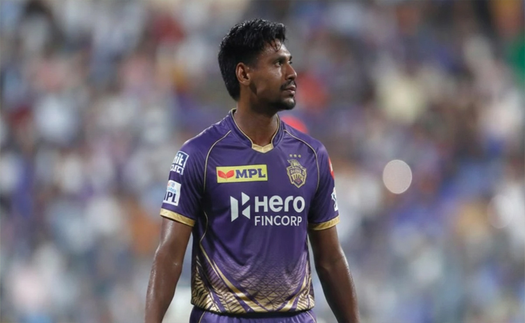 ipl.jpg