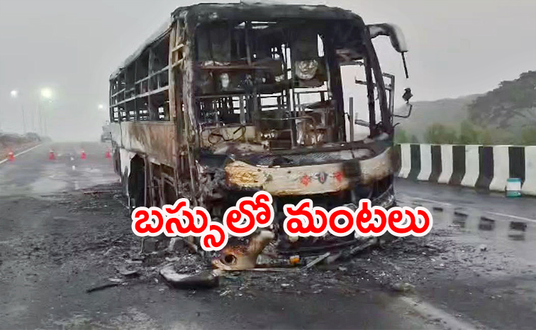 Travel-Bus.jpg