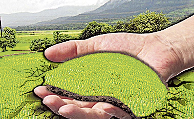 LAND-Final.jpg