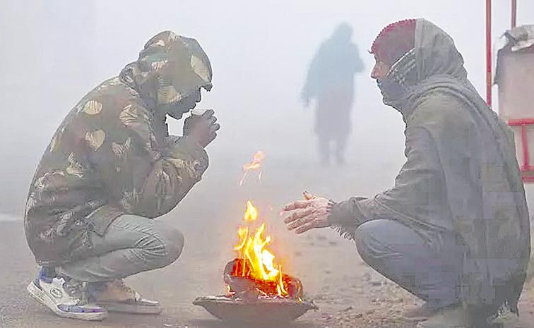 WINTER.jpg